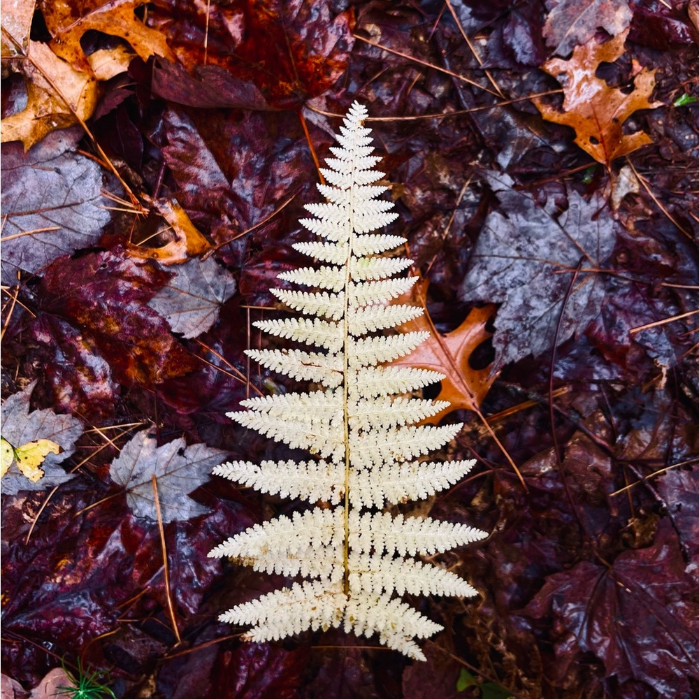 Meet your Posher, Meg